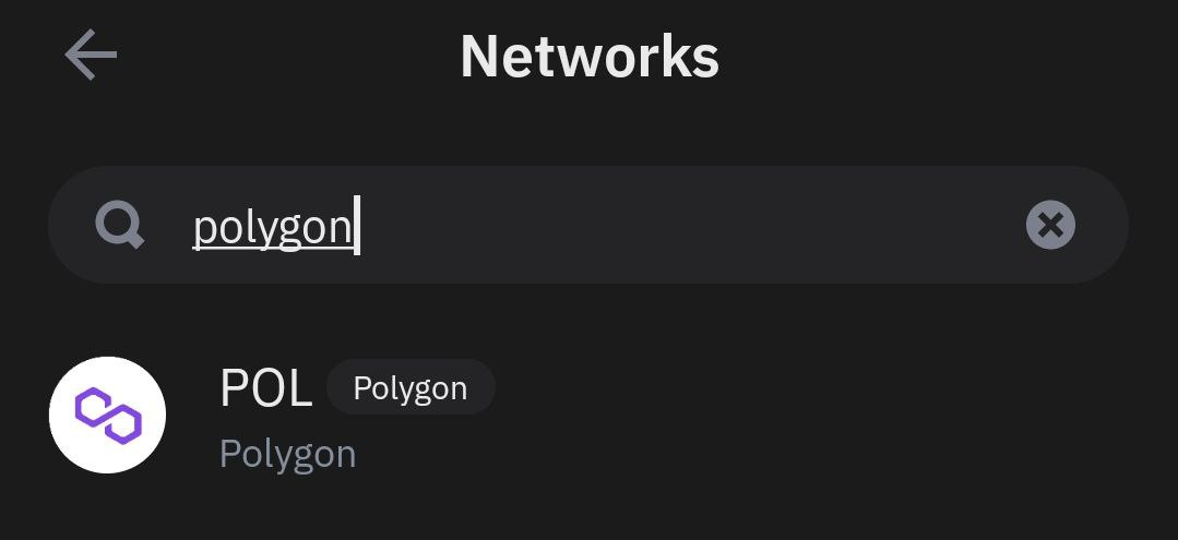 Searching for the Polygon network in the Trust Wallet network picker